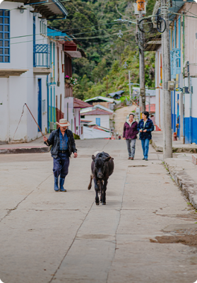 Imagenes Horizontales Mps CN Marulanda 10