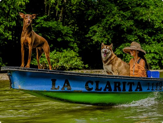 Imagenes Horizontales Mps CN3LD